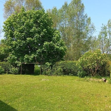 Apartman V Jame Černá v Pošumaví 외부 사진
